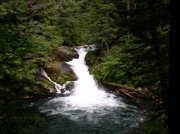 5.29.06 Siouxon Creek 024 